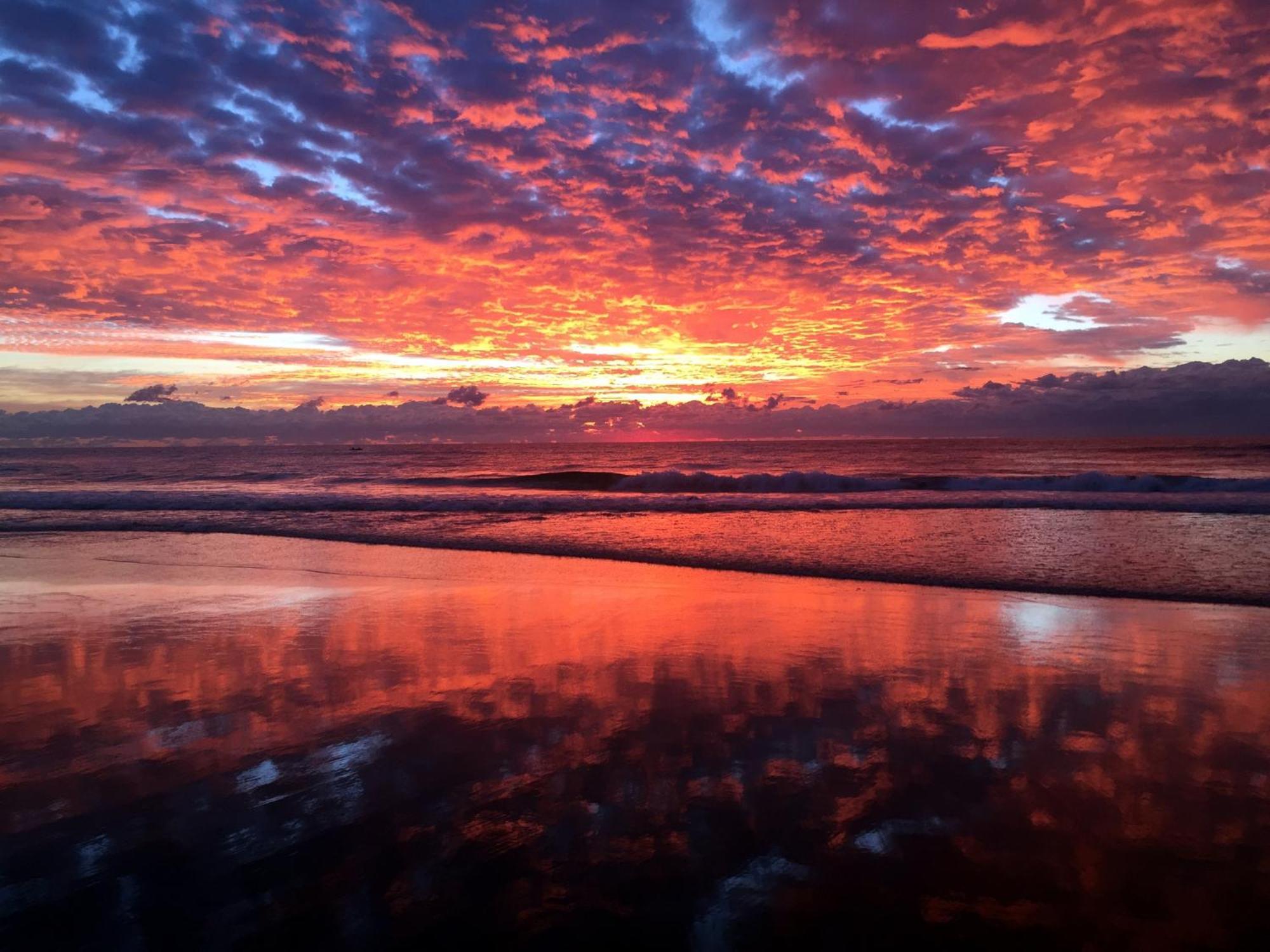 Wake Up Right On The Beach-bliss Apartment